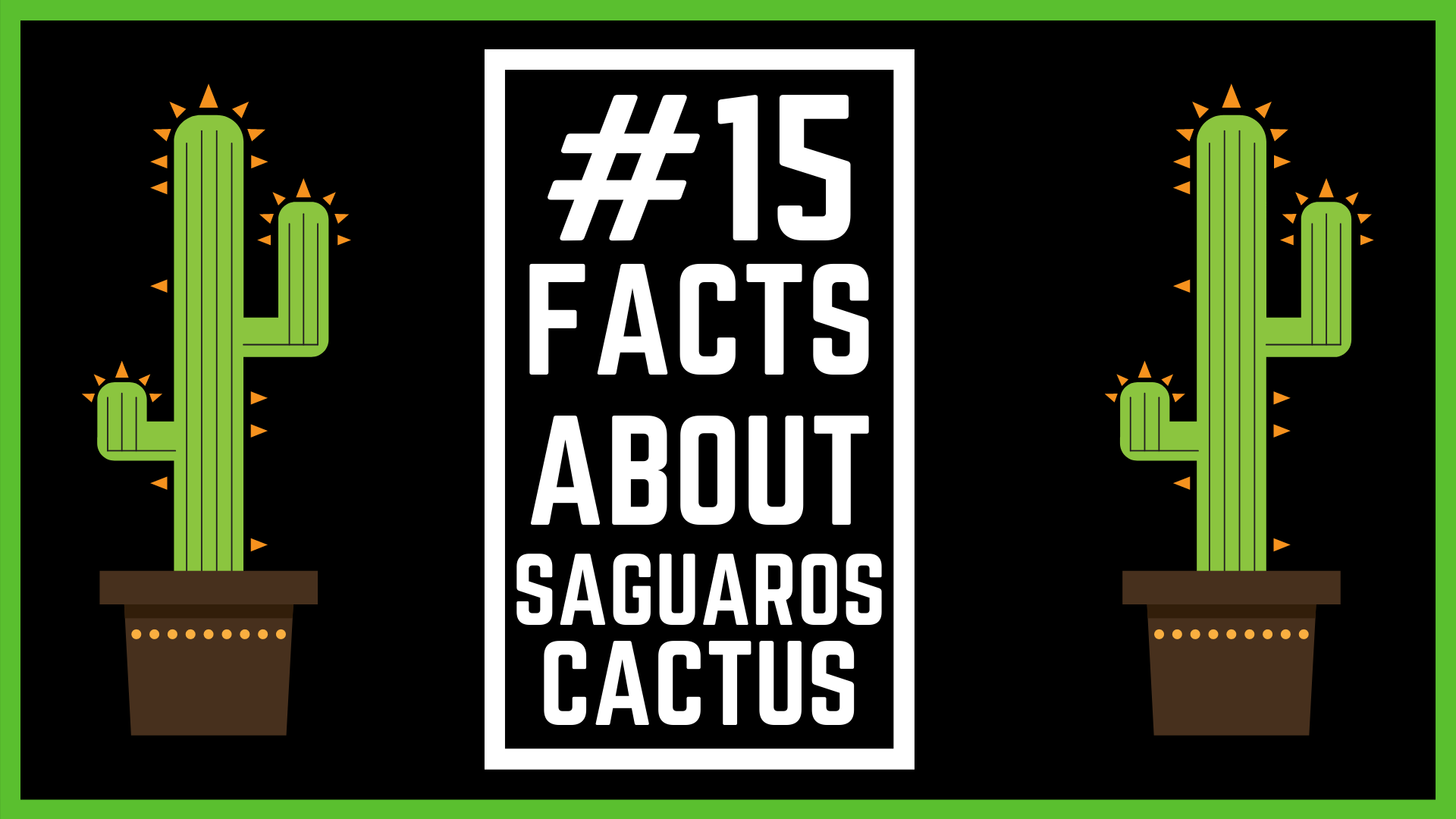 15 Little Known Facts About Saguaro Cactus