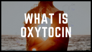What is Oxytocin or love hormones?